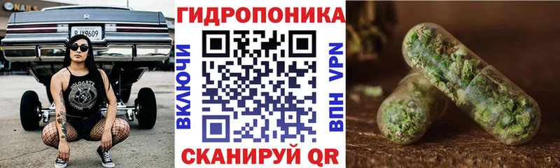 Канабис план  Купить закладки  Зима 